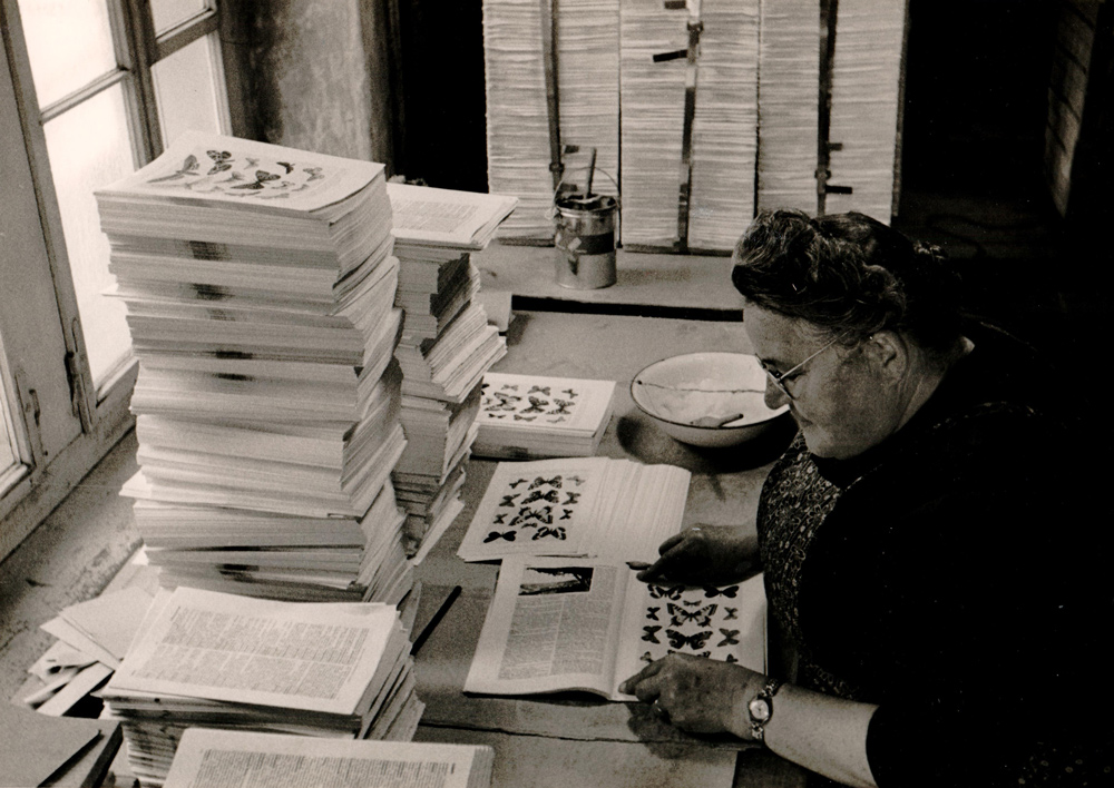 Arbeiterin in der Buchbinderei, aus einer Fotoserie von Othmar Baur, 1950